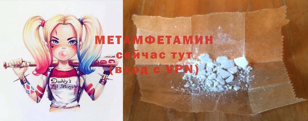 прущие грибы Магадан