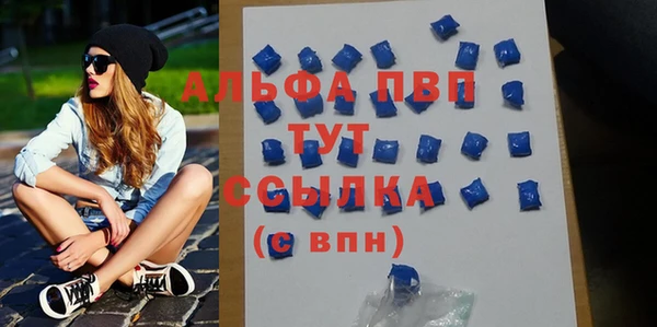 прущие грибы Магадан