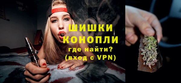 прущие грибы Магадан