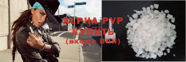 прущие грибы Магадан