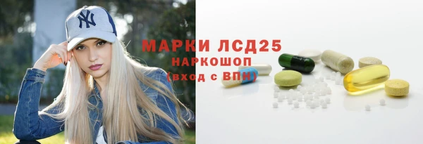 прущие грибы Магадан