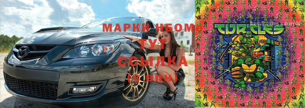 прущие грибы Магадан
