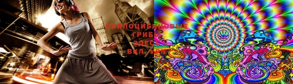 прущие грибы Магадан