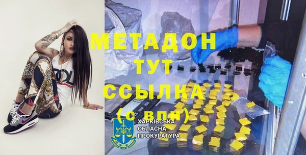 прущие грибы Магадан