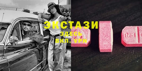 прущие грибы Магадан