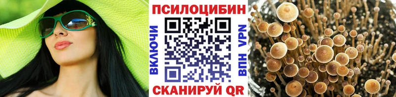 Галлюциногенные грибы GOLDEN TEACHER Раменское