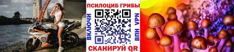 Галлюциногенные грибы Magic Shrooms  Раменское 