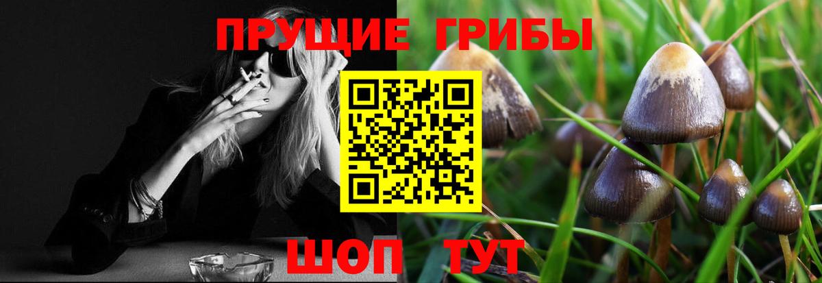 Галлюциногенные грибы Psilocybine cubensis  Галлюциногенные грибы MAGIC MUSHROOMS  Раменское  Вход с VPN 
